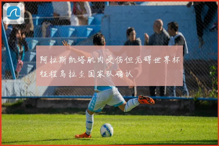 阿拉斯凯塔肌肉受伤但无碍世界杯征程乌拉圭国家队确认