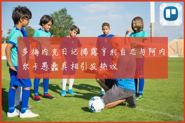 多梅内克日记揭露亨利自恋与阿内尔卡愚蠢真相引发热议